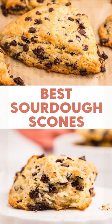 Make flaky and delicious sourdough scones with this easy and delightful recipe. Discard Scones, Sourdough Discard Scones, Sourdough Scones, Sourdough Starter Discard Recipe, Easy Sourdough, Scones Ingredients, Savory Scones, Scones Recipe, Blueberry Scones