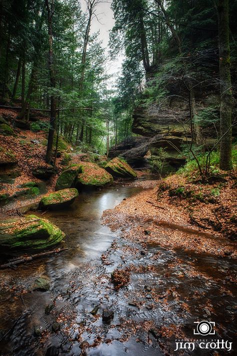 The trail from Cedar Falls to Old Man's Cave in Hocking Hills State Park Ohio by Jim Crotty in November 2021 Old Man's Cave Hocking Hills, Ohio Mountains, Ohio Attractions, Hocking Hills Ohio, Hocking Hills State Park, November Rain, Perfect Road Trip, Hocking Hills, Cave In