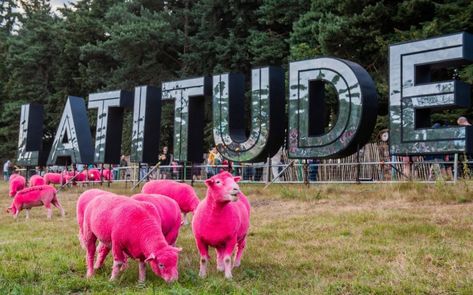 Latitude Festival, Flock Of Sheep, Lake Swimming, College Event, Prey Animals, Corporate Event Design, Pink Sheep, Family Festival, Set Design Theatre