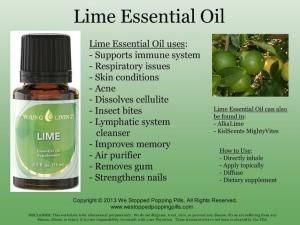 Young Living Lime Essential Oil by Sugarbean Benefits Of Lime, Essential Oils For Memory, Joy Essential Oil, Living Oils Recipes, Copaiba Essential Oil, Essential Oils 101, Essential Oils For Pain, Lime Essential Oil, Yl Essential Oils