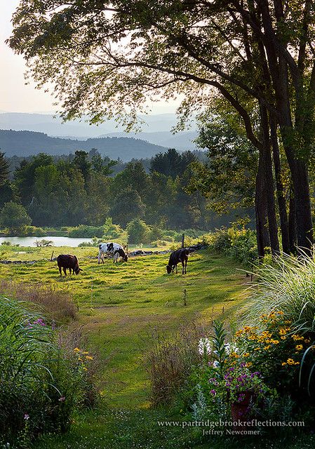 Evening Path | Summer sunset in Chesterfield, NH, Image for … | Flickr Lukisan Lanskap, Belle Nature, Country Scenes, Summer Sunset, English Countryside, Alam Yang Indah, Landscape Photos, Farm Life, Country Life