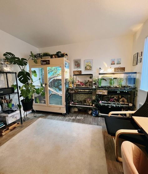 Reptile Room Setup Ideas, Animal Room Ideas, Animal Room Ideas Pets, Reptile Bedroom, Reptile Room Aesthetic, Reptile Room Ideas, Terrarium Room, Pet Room, Reptile Room