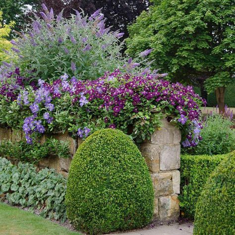 107.1k Followers, 1,267 Following, 2,807 Posts - See Instagram photos and videos from Debby: Botanica Trading (@debbytenquist) Garden Purple, Clematis Plants, Cottage Garden Design, Purple Garden, Walled Garden, Garden Photography, Magical Garden, Garden Cottage, Garden Patio Furniture