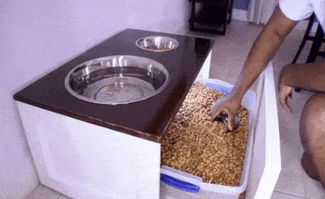 diy dog feeding station pattern | Genius! The DIY Dog Feeder that Doubles as Storage Diy Dog Feeder, Dog Feeder Station, Diy Dog Bowl, Cat Food Station, Dog Station, Dog Food Station, Pet Station, Dog Feeding Station, Diy Dog Food