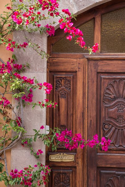 Images from San Miguel de Allende, Mexico-8726 | Geoffrey Shuen | Flickr Photography Photos, Floral Wreath, Doors, Photography, Quick Saves, San Miguel De Allende, Mexico