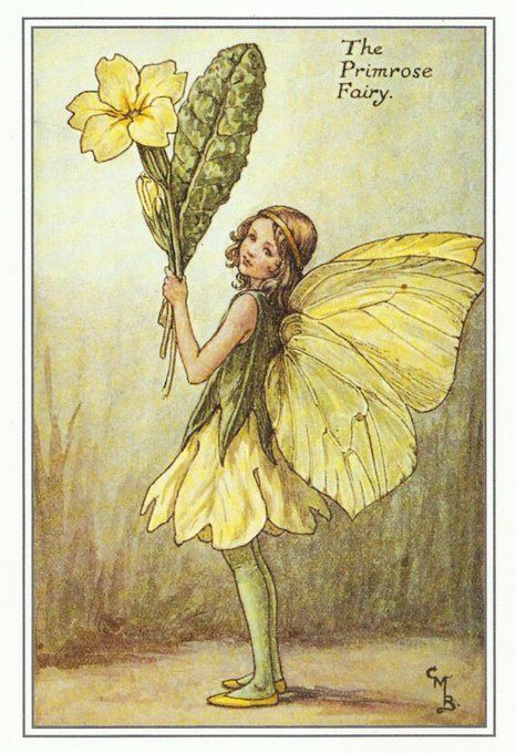 Fairy Paintings, Fairy Drawings, Wood Postcard, Fairy Wallpaper, Spring Fairy, Fairy Artwork, Cicely Mary Barker, Vintage Fairies, Fairy Book