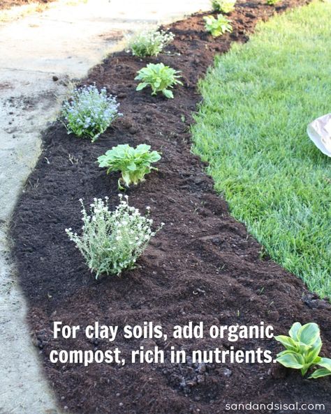 Adding Curb Appeal - New Flower Beds - Sand and Sisal Amend Clay Soil, Amending Clay Soil, Kill Grass, Adding Curb Appeal, Garden Walkways, Yard Path, Backyard Flowers Beds, Gardening For Dummies, Front Lawn Landscaping