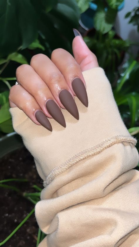 Matte Brown Almond Nails, Brown Stilleto Nails Designs, Brown Nails Stiletto, Plain Stiletto Nails, Matte Almond Shaped Nails, Brown Matte Nails, Matte Brown Nails, 2025 Nails, Uñas Color Cafe