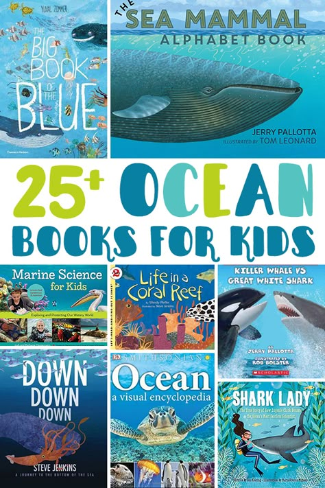 Ocean Books For Toddlers, Summer Books For Kids, Ocean Activities For Toddlers, Ocean Homeschool, Themed Bookshelves, Books About The Ocean, Sunshine Classroom, Books Kindergarten, Preschool Ocean