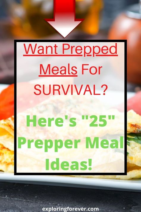 Survival Meal Recipes, Survival Foods That Last Forever, Prepper Meals, Poor Meals, Survival Necessities, Survival Meals, Survival Recipes, Best Survival Food, Survival Skills Emergency Preparedness