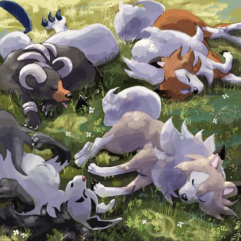 Tasha Animal Crossing, Pokemon Template, Dusk Lycanroc, Pokémon Wallpapers, Dog Pokemon, Shiny Pokémon, Cute Pokemon Art, Pokemon Backgrounds, Pokemon Fanart