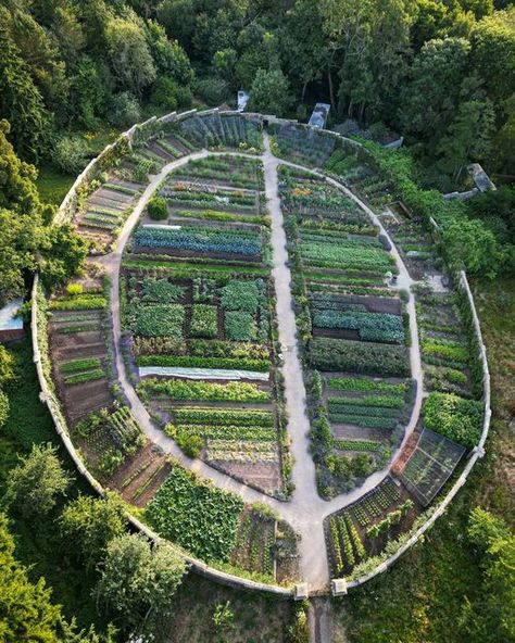 Gravetye Manor on Instagram: "Our Victorian kitchen garden is one of the standout features at Gravetye Manor as not only does it grow cut flowers for our florists, but it also provides the kitchen team with fresh, quality fruit and vegetables 💚 This week we are harvesting beetroots, courgettes, peas, radishes and turnips - all to be used within our seasonal menu! 🌱  #gravetyemanor #gravetyemanorgarden #kitchengarden #sussex" Gravetye Manor Gardens, Gravetye Manor, Veggies Garden, Growing Cut Flowers, Manor Garden, Victorian Kitchen, Turnips, Garden Path, Radishes