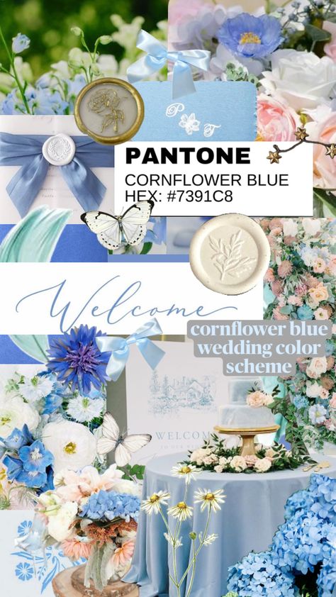 #cornflowerblue #cornflowerbluewedding #wedding #weddinginspo #weddingdecor #weddingcolors #weddingshuffle #blueaesthetic #lightblueaesthetic #classic Cornflower Blue Wedding, Light Blue Aesthetic, Cornflower Blue, Blue Aesthetic, Blue Wedding, Future Wedding, Wedding Inspo, Wedding Colors, Dream Wedding