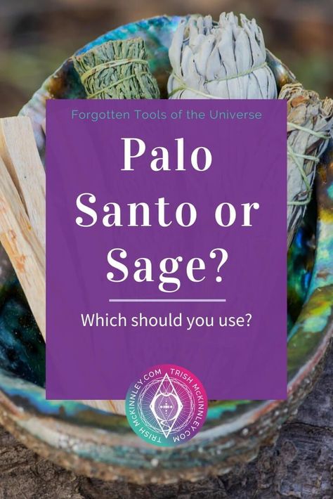 Best Sage To Burn, When To Burn Palo Santo, Sage And Palo Santo Smudging, Sage Vs Palo Santo, How To Burn Sage In Home, When To Burn Sage, How To Burn Sage, Palo Santo Smudging, Sage Burning