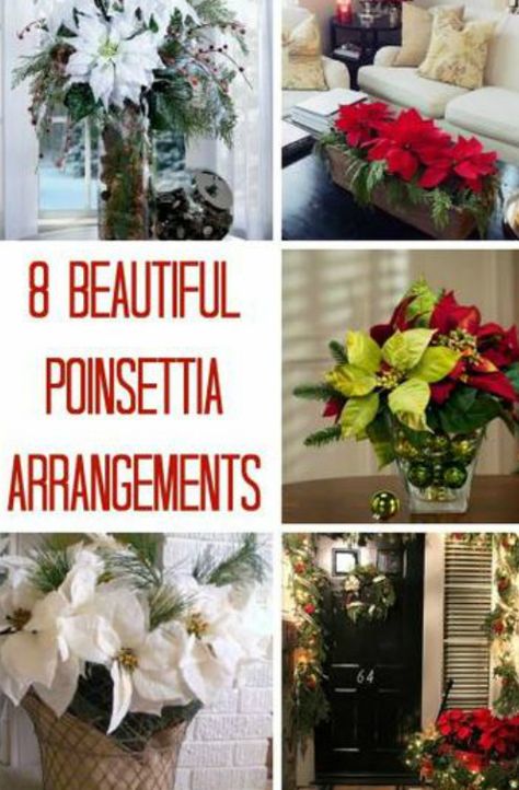 Pointsetta Decorations Decorating Ideas, Poinsettia Flower Arrangements, Ponsietta Christmas Decorations, Decorating With Poinsettias Christmas, Decorating With Poinsettias, Fake Poinsettia Decorating Ideas, Poinsettia Floral Arrangements, Potted Poinsettia Decorating Ideas, Pointsetta Centerpieces Christmas