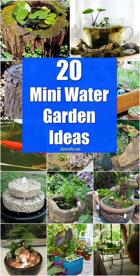 20 Charming And Cheap Mini Water Garden Ideas For Your Home And Garden {With tutorial links} via @vanessacrafting Mini Water Garden, Diy Decks, Water Garden Ideas, Small Water Gardens, Lawn Ideas, Mini Pond, Fountain Ideas, Container Water Gardens, Diy Water Feature