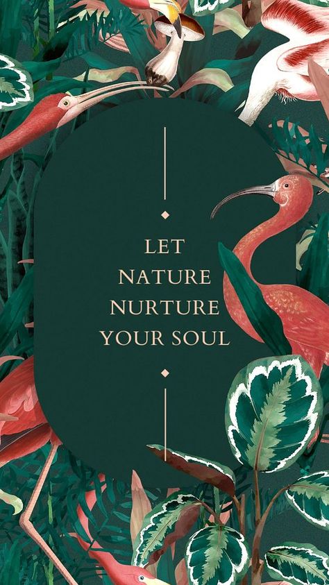 Tropical flamingo Instagram story template, editable design | premium image by rawpixel.com / Ning Flamingo Aesthetic, Tropical Quotes, Tropical Flowers Illustration, Wildlife Illustration, Jungle Flowers, Tropical Flamingo, Botanical Wallpaper, Summer Landscape, Tropical Birds