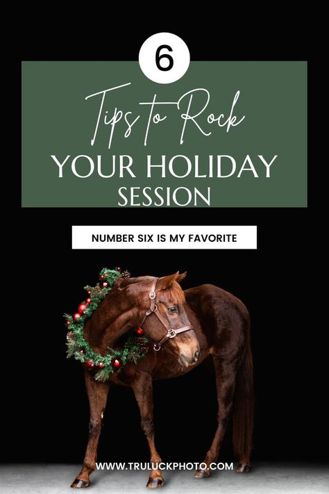 Photograph of a chestnut horse wearing a green wreath with red ornaments on it.  The background is blacked out. Christmas Equine Photography, Equine Christmas Photos, Equine Photography Tips, Horse Holiday Photos, Horse Wreath Photoshoot, Christmas Photos With Horses, Horse Christmas Pictures, Christmas Horse Photoshoot, Horse Head Photography