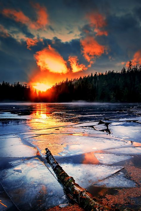 Lake sunset in Ketchikan, Alaska, USA  (by Carlos Rojas) Incredible Photography, Alaska Pictures, Ketchikan Alaska, Sunrises And Sunsets, Sunrise And Sunset, Lake Sunset, Beautiful Sunrise, Beautiful Sky, Sunset Sunrise