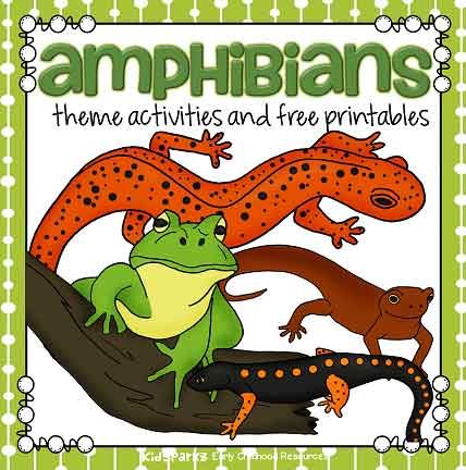 Amphibians preschool theme activities - KidSparkz - KIDSPARKZ Amphibians Preschool, Newt Animal, Reptiles Preschool, Preschool Monthly Themes, Amphibians Activities, Preschool Theme Activities, Vernal Pool, Montessori Science, Preschool Schedule