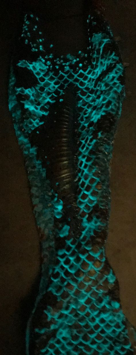 Mermaid glow in the dark Beauty and Brine Glow In The Dark Mermaid Tail, Glowing Mermaid Tail, Bioluminescent Mermaid Tail, Mythical Aesthetic, Glowing Mermaid, Mermaid Oc, Mermaid Scales Tattoo, Mermaid Photoshoot, Mermaid Room Decor