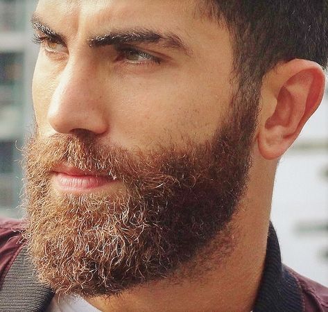 Beard Light Brown Beard Men, Beard Suit, Brown Beard, Long Beard Styles, Beard Wax, Short Beard, Beard Hairstyle, Beard Look, Beard Lover