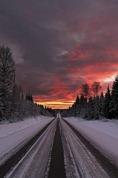 Snowy Sunrise, Snowy Sunset, Sunrise Winter, Snowy Road, Winter Scenery, Amazing Sunsets, Winter Beauty, Sunrise Sunset, Nice View