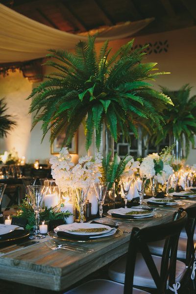 fern and frond, wedding tables, place setting, reception decor, centerpieces, fern centerpieces Fern Centerpiece, Tropical Event, Tropical Wedding Centerpieces, Tropical Centerpieces, Fern Wedding, Lake Tahoe Weddings, Tahoe Wedding, Beach Wedding Decorations, So In Love