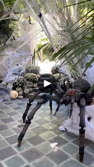 4.2K views · 386 reactions | Welcome to the Spiders Den🕷️ 

#halloween #halloweendecor #spiders #fall #falldecor #halloweendecorations #halloweendecorating #halloweendecorating #pumpkinpatch #pumpkins #flowers #reelsinstagram #reels #reelsvideo #beverlyhills #teammsla | Marketing Studio | Los Angeles | spectrumcollections · Original audio Spider And Skeleton Halloween Decor, Big Spider Halloween Decoration, Huge Spiders For Halloween, Spider Cave Halloween, Spider Room Haunted House, Pumpkin Patch, Halloween Decorations, Fall Decor, Halloween