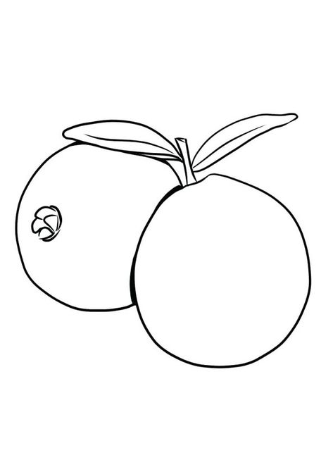 Guava Coloring Page for kids. Free Printable Guavas Coloring Pages For kids download and print. Guava Drawing, Guava Watercolor, Guava Coloring Page, Guava Pictures, Fruits Coloring Pages Free Printable, Mango Coloring Page, Guava Tree, Guava Fruit, Guavas