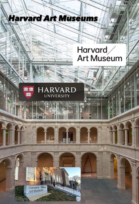 #harvard #harvarduniversity #gallery #galleryart #museum Harvard Art Museum, Art Museums, Harvard University, Art Museum, Louvre, Art Gallery, University, Building, Art