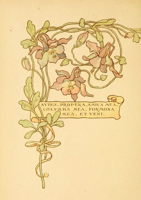 Margaret Armstrong Illustration, Fiori Art Deco, Margaret Armstrong, Fleurs Art Nouveau, Motifs Art Nouveau, Nouveau Tattoo, Art Nouveau Illustration, Art Nouveau Flowers, 카드 디자인