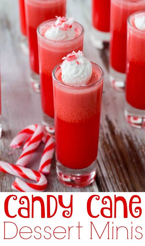 These Candy Cane Dessert Minis are an easy holiday dessert - perfect for Christmas. There are only 3 simple ingredients - Jell-o, Cool Whip and Candy Canes Sweets Box Gift, Party Food Easy, Easy Holiday Desserts Christmas, Christmas Cheesecake Recipes, Candy Cane Hearts, Easy Holiday Dessert, Candy Cane Dessert, Upstate Ramblings, Jeopardy Template