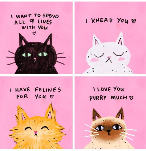 Cat pick up lines Dog Pick Up Lines, Cat Pick Up Lines, Love Pick Up Lines, I Love You Puns, Cat Lady Quote, Valentines Puns, Pick Up Lines Funny, Love Puns, Cat Sitter