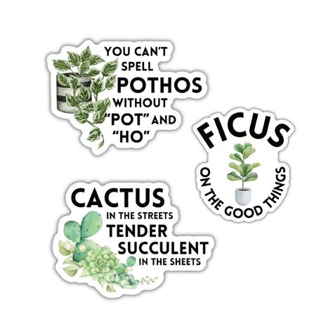 "Decorate your space with a touch of green and a lot of puns! Our Plant Puns Sticker Bundle will bring the outdoors in with vibrant colors and three hilarious designs:  * Ficus on the Good Things * You Cant Spell Pothos Without Pot and Ho * Cactus in the Streets Tender Succulent in the Streets Theme: pun, punny quotes, plant lovers Add a dash of fun to your walls, notebooks, laptops, and more!  Size: Approx 3.35\" each Our glossy finish protects stickers from harmful UV rays, so they will stay v Cute Plant Quotes, Funny Plant Quotes, Cactus Quotes, Plant Quotes, Plant Puns, Pot Art, Funny Keychain, Plants Quotes, Monogram Vinyl Decal