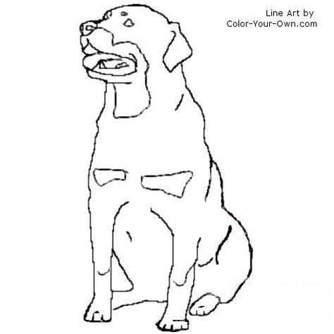 sitting Rottweiler dog line art Black And White Line Drawings, Rottweiler Tattoo, Dog Line Art, Puppy Drawing, Dog Line, Dog Coloring Page, Rottweiler Puppies, Rottweiler Dog, Line Drawings