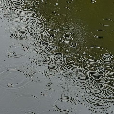 Pouring Rain Aesthetic, Rain Art Aesthetic, Rain Widget, Rain Drops Aesthetic, Physics Inspiration, Raindrop Aesthetic, Ripple Tattoo, Rain Ripples, Raindrops Aesthetic