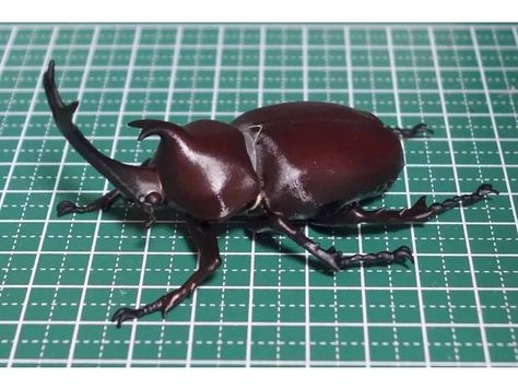 Japanese rhinoceros beetle (Trypoxylus dichotomus) by dendeba - Thingiverse Rino Beetle, Terrestrial Animals, Japanese Beetle, Rhino Beetle Photography, Rhinoceros Beetle, Eastern Eyed Click Beetle, Japanese Rhinoceros Beetle, Rhino Beetle, Bark Beetle