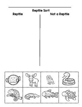 Reptile SortGreat for animal unitIncludes English and Spanish Version! Tally Marks Kindergarten, Living And Nonliving, Pre K Worksheets, Life Cycles Activities, Kindergarten Songs, Early Childhood Learning, Subtraction Word Problems, School Plan, Dual Language