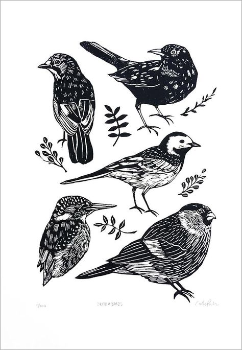 Lino Art, British Birds, Linocut Art, Cabbages, Bird Art Print, Bird Drawings, Bird Illustration, Lino Print, Linocut Prints