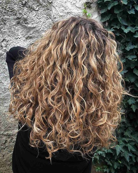 Brown To Blonde Ombre Curly Hair, Curly Blonde Hair Dark Roots, Short Curly Hair With Balayage, Naturally Curly Hair With Blonde Highlights, Brown Curly Hair Blonde Balayage, Golden Balayage Curly Hair, Blonde Curly Hair With Shadow Root, Blonde Babylights Curly Hair, Honey Balayage On Curly Hair