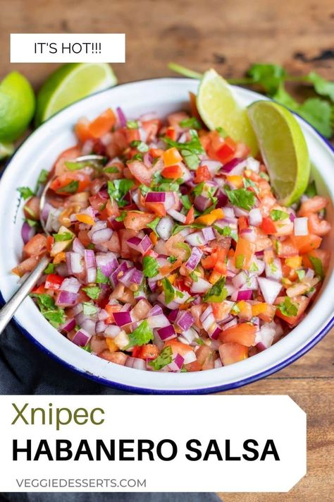 Best Salsa Recipe Ever, The Best Salsa Recipe, Habanero Salsa Recipe, Habanero Recipes, Best Salsa Recipe, Hot Pepper Recipes, Homemade Pico, Best Salsa, Fresh Salsa Recipe