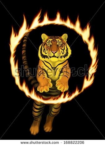 Circus Lion Art, Zombie Props, Tiger Halloween, Circus Lion, Paris Decor, Fire Ring, Halloween Zombie, Big Cats Art, Ring Of Fire