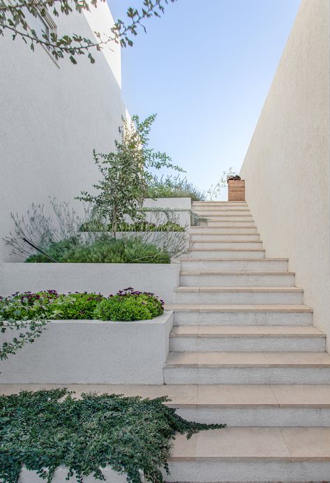 Gallery of Goldwasser House / Architextit-Einat Erez-Kobiler - 23 Exterior Photography, Staircase Outdoor, External Staircase, Entry Stairs, Exterior Stairs, Stair Landing, Stairs Architecture, Architecture Images, Outdoor Stairs