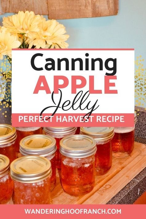 Apples Breakfast, Apple Jelly Recipe, Canning Apples, Slow Cooker Apple Butter, Easy Canning, Canning Peaches, Home Canning Recipes, Canning Vegetables, Jam Recipes Homemade