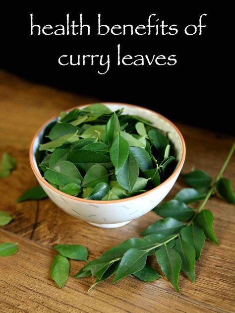 top 7 health benefits of curry leaves | diy home remedies with curry leaves with photos. curry leaves are also called as sweet neem leaf. they are aromatic fresh herb grown on curry tree. curry leaves has so many uses from culinary to medicinal. Curry Leaves Benefits, Curry Leaves Plant, Curry Tree, Benefits Of Curry, Mint Benefits, Curry Leaf Plant, Burning Bay Leaves, Dream Herbs, Leaf Health