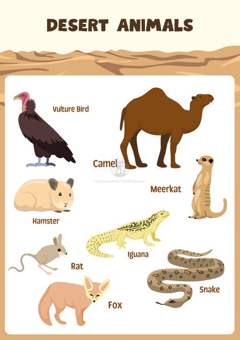 Introduce kids to desert wildlife with this simple brown-themed desert animals poster! Featuring clean and minimalistic illustrations of animals like camels, lizards, and meerkats, this educational poster is perfect for classrooms, nurseries, or playrooms. It adds a learning-focused touch to any space while teaching kids about desert animals. 

#DesertAnimals #KidsRoomDecor #EducationalPoster #AnimalPoster #PrintableForKids Desert Animals Printable, Desert Animals Activities, Dessert Animals, Poster Brown, Desert Wildlife, Animals Activities, Animals Poster, Rat Snake, Desert Animals