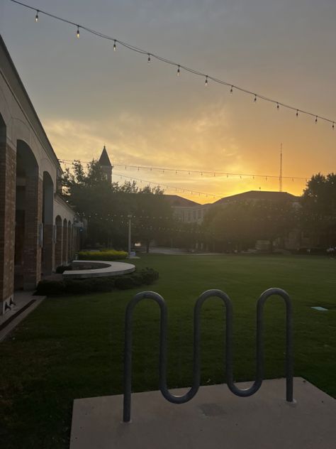 TCU, Texas Christan University, sunset, campus, college campus, lifestyle, study, school, aesthetic Tcu Campus, College Things, College Campus, School Aesthetic, Texas, University, Lifestyle