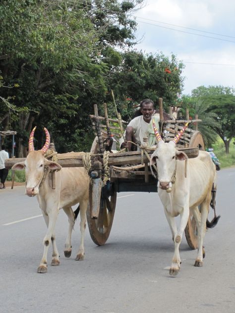 Bullock Cart Indian, Bullock Cart, East India Company, Kids Blouse Designs, Kids Blouse, Airplane Photography, Hijabi Aesthetic, Landscape Photography Nature, Scrap Metal Art