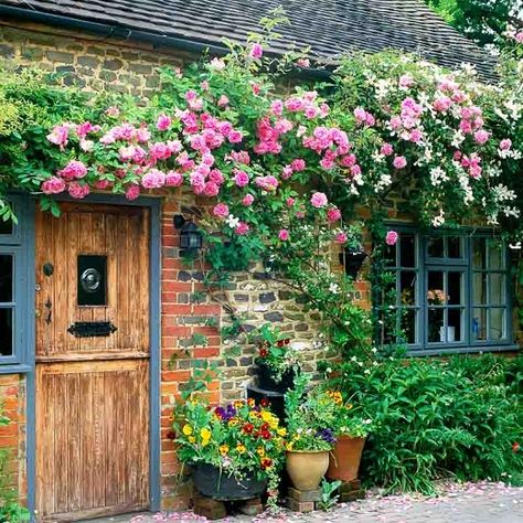 Two fragrant and vigorous climbing plants for a spectacular floral display. House With Flowers, Clematis Montana, Rose House, Heirloom Roses, Mediterranean Garden, Traditional Garden, Cottage Gardens, Climbing Roses, Garden Fencing